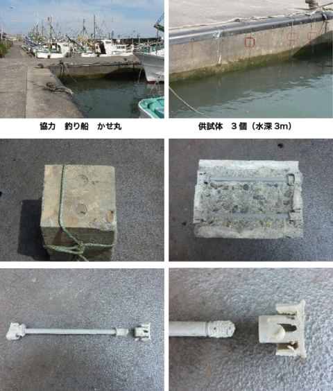 中浸漬試験画像