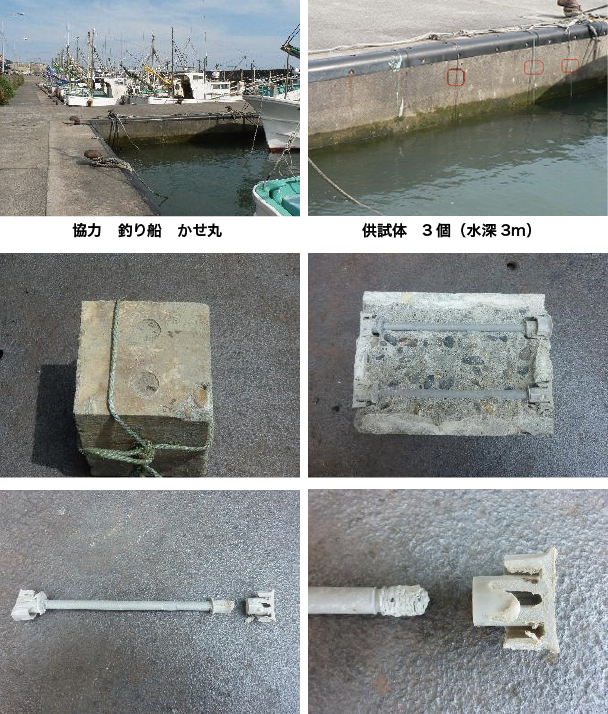 中浸漬試験画像